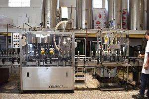 Distillerie  Monforte del Cid- 046